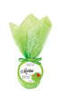 Chill Pill Festive Bath Fizzies Martini