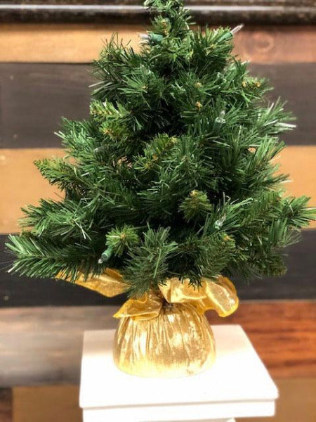 24-Inch Majestic Fir Tree with 35 Clear Lights