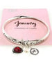 Birthstone Twist Bangle Jan