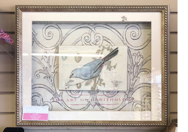 Finch in Whitewash Frame - Gold Trim